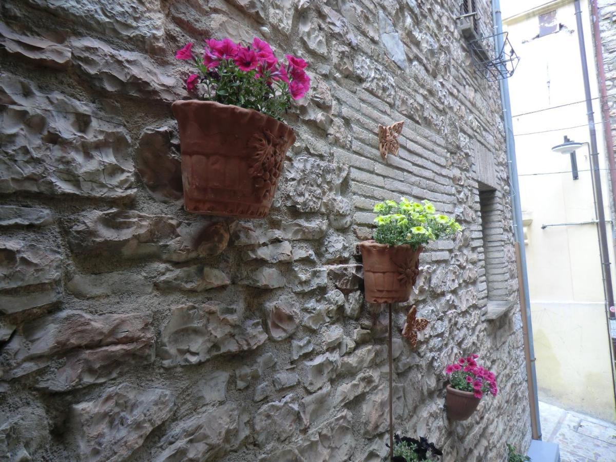 La Corta Di Spello Camere 외부 사진