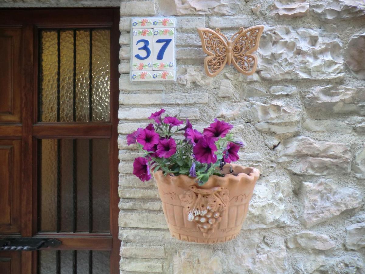 La Corta Di Spello Camere 외부 사진